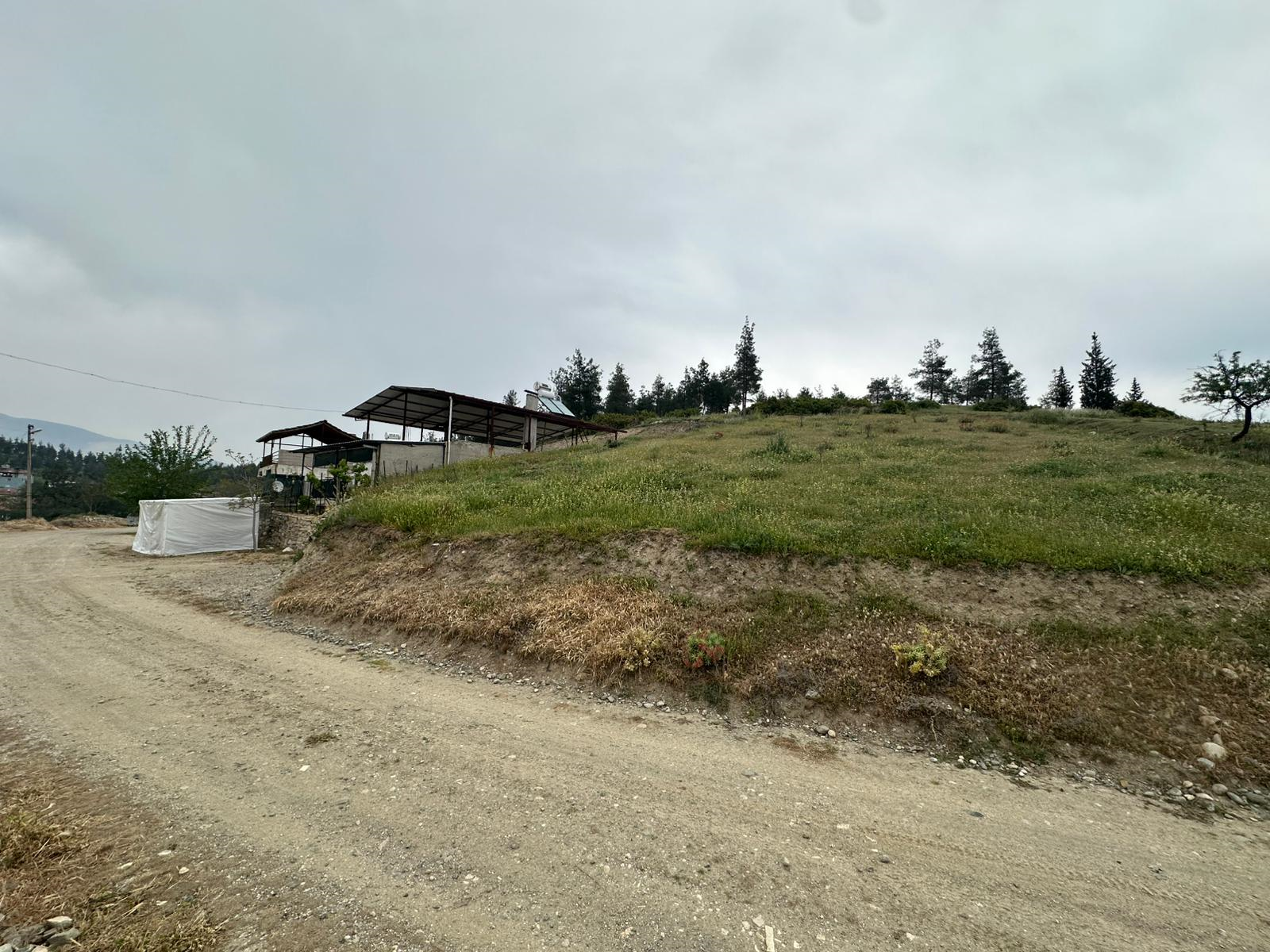 home-1